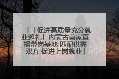「促进高质量充分就业巡礼」内蒙古首家直播带岗基地 匹配供需双方 促进上岗就业