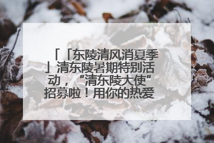 「东陵清风消夏季」清东陵暑期特别活动，“清东陵大使”招募啦！用你的热爱守护世界遗产！