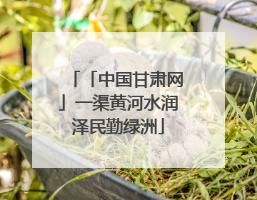 「中国甘肃网」一渠黄河水润泽民勤绿洲
