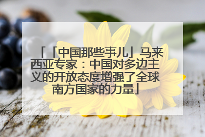 「中国那些事儿」马来西亚专家：中国对多边主义的开放态度增强了全球南方国家的力量