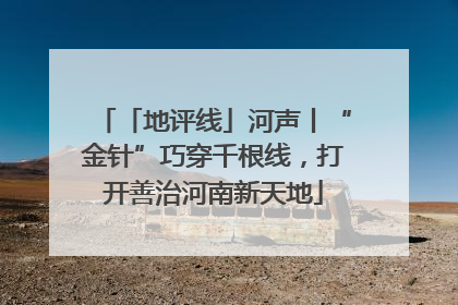 「地评线」河声丨“金针”巧穿千根线，打开善治河南新天地