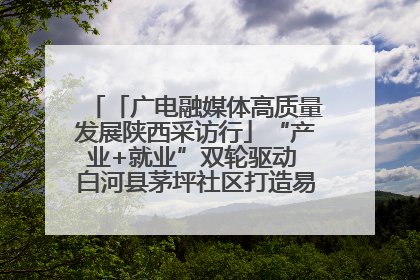 「广电融媒体高质量发展陕西采访行」“产业+就业”双轮驱动 白河县茅坪社区打造易地搬迁后扶新样本