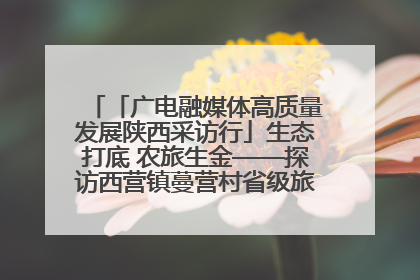 「广电融媒体高质量发展陕西采访行」生态打底 农旅生金——探访西营镇蔓营村省级旅游示范村的振兴密码