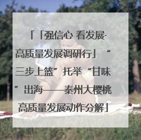 「强信心 看发展·高质量发展调研行」“三步上篮”托举“甘味”出海——秦州大樱桃高质量发展动作分解
