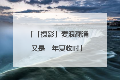 「摄影」麦浪翻涌 又是一年夏收时