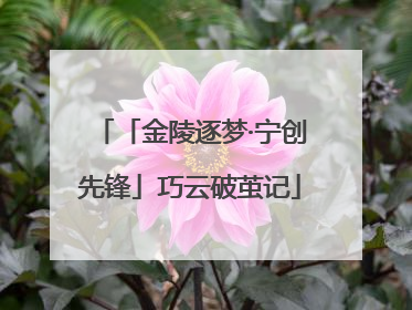 「金陵逐梦·宁创先锋」巧云破茧记