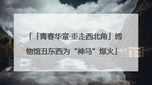 「青春华章·重走西北角」博物馆丑东西为“神马”爆火