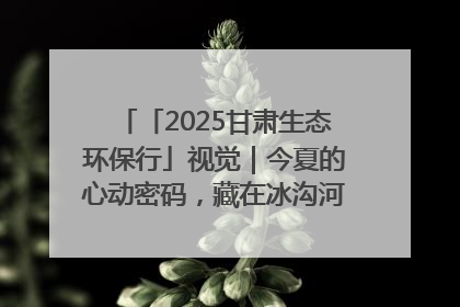 「2025甘肃生态环保行」视觉｜今夏的心动密码，藏在冰沟河的潋滟波光里