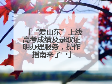 “爱山东”上线高考成绩及录取证明办理服务，操作指南来了→