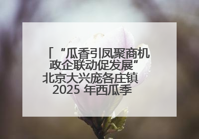 “瓜香引凤聚商机 政企联动促发展”北京大兴庞各庄镇 2025 年西瓜季政企联动产业推介活动圆满举行