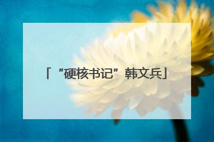 “硬核书记”韩文兵