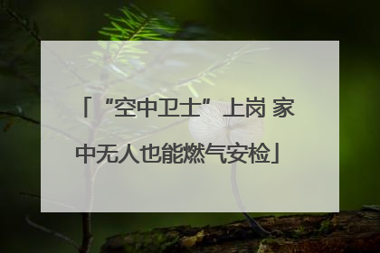 “空中卫士”上岗 家中无人也能燃气安检