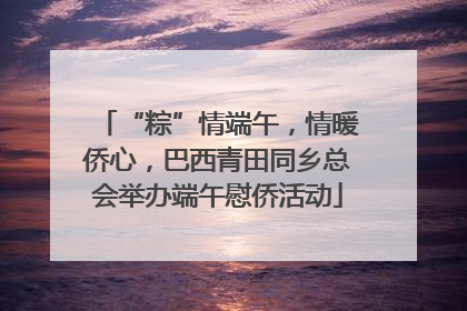 “粽”情端午，情暖侨心，巴西青田同乡总会举办端午慰侨活动