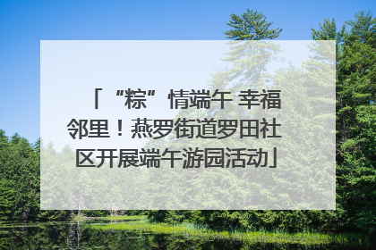 “粽”情端午 幸福邻里！燕罗街道罗田社区开展端午游园活动
