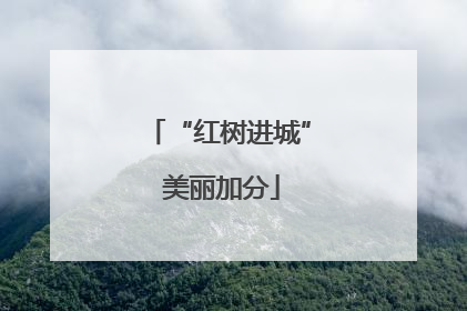 “红树进城” 美丽加分