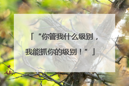 “你管我什么级别，我能抓你的级别！”