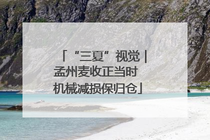 “三夏”视觉｜孟州麦收正当时 机械减损保归仓