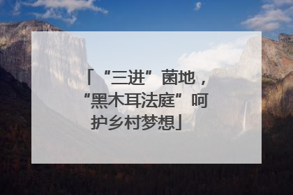 “三进”菌地，“黑木耳法庭”呵护乡村梦想