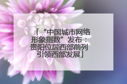 “中国城市网络形象指数”发布：贵阳位居西部前列 引领西部发展