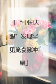 “中国天眼”发现罕见掩食脉冲星