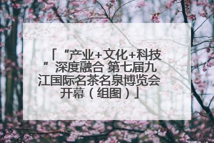 “产业+文化+科技”深度融合 第七届九江国际名茶名泉博览会开幕（组图）