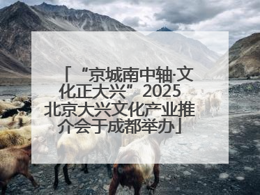 “京城南中轴·文化正大兴”2025北京大兴文化产业推介会于成都举办