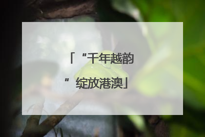 “千年越韵”绽放港澳