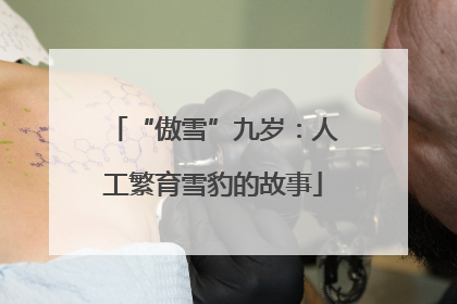 “傲雪”九岁：人工繁育雪豹的故事