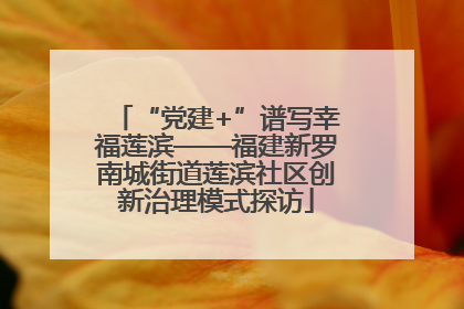 “党建+”谱写幸福莲滨——福建新罗南城街道莲滨社区创新治理模式探访