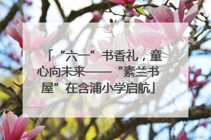 “六一”书香礼，童心向未来——“素兰书屋”在含浦小学启航