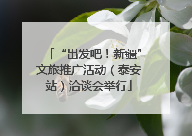 “出发吧！新疆”文旅推广活动（泰安站）洽谈会举行