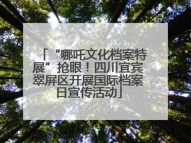 “哪吒文化档案特展”抢眼！四川宜宾翠屏区开展国际档案日宣传活动