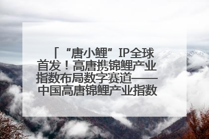 “唐小鲤”IP全球首发！高唐携锦鲤产业指数布局数字赛道——中国高唐锦鲤产业指数暨“唐小鲤”IP全球首发仪式在杭州举行