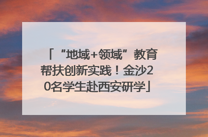 “地域+领域”教育帮扶创新实践！金沙20名学生赴西安研学