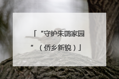 “守护朱鹮家园”（侨乡新貌）