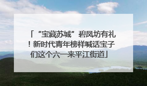 “宝藏苏城”碧凤坊有礼！新时代青年榜样喊话宝子们这个六一来平江街道