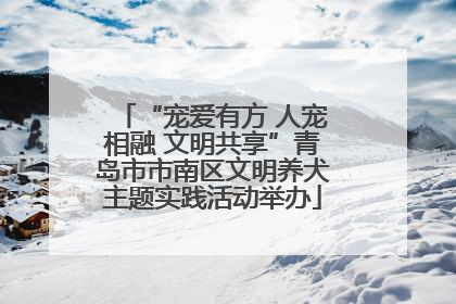 “宠爱有方 人宠相融 文明共享”青岛市市南区文明养犬主题实践活动举办