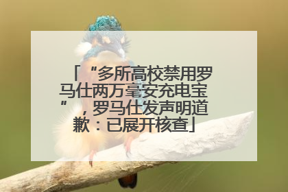“多所高校禁用罗马仕两万毫安充电宝”，罗马仕发声明道歉：已展开核查