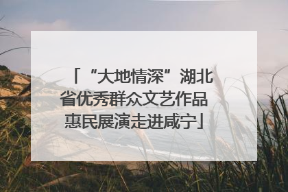 “大地情深”湖北省优秀群众文艺作品惠民展演走进咸宁