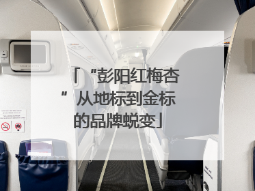 “彭阳红梅杏”从地标到金标的品牌蜕变