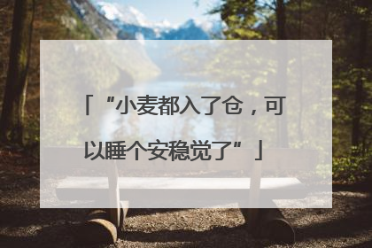 “小麦都入了仓，可以睡个安稳觉了”