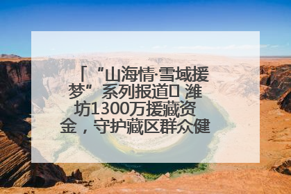“山海情·雪域援梦”系列报道⑪ 潍坊1300万援藏资金，守护藏区群众健康“最后一公里”