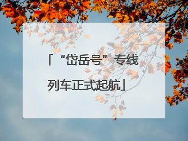 “岱岳号”专线列车正式起航