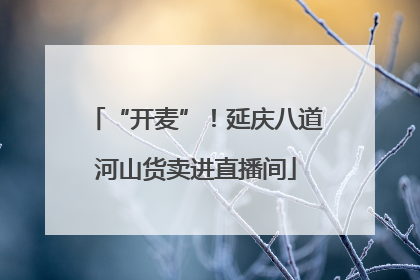 “开麦”！延庆八道河山货卖进直播间