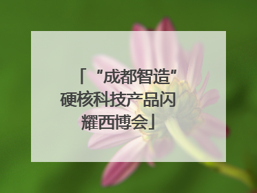 “成都智造”硬核科技产品闪耀西博会