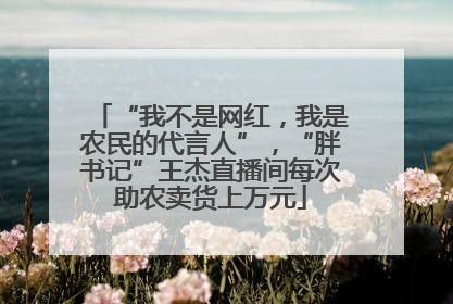 “我不是网红，我是农民的代言人”，“胖书记”王杰直播间每次助农卖货上万元
