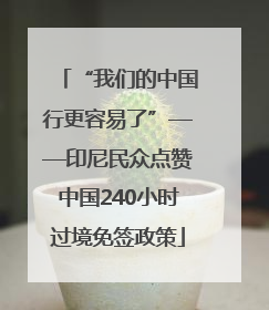“我们的中国行更容易了”——印尼民众点赞中国240小时过境免签政策