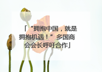 “拥抱中国，就是拥抱机遇！”多国商会会长呼吁合作