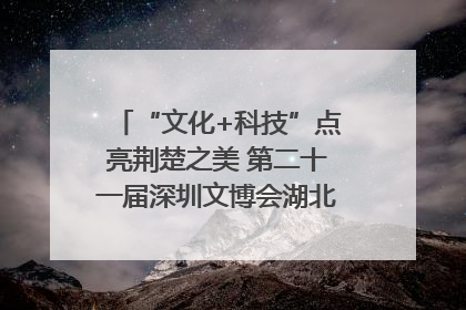 “文化+科技”点亮荆楚之美 第二十一届深圳文博会湖北馆抢“鲜”看