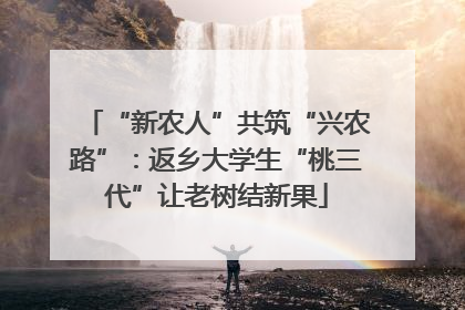 “新农人”共筑“兴农路”：返乡大学生“桃三代”让老树结新果